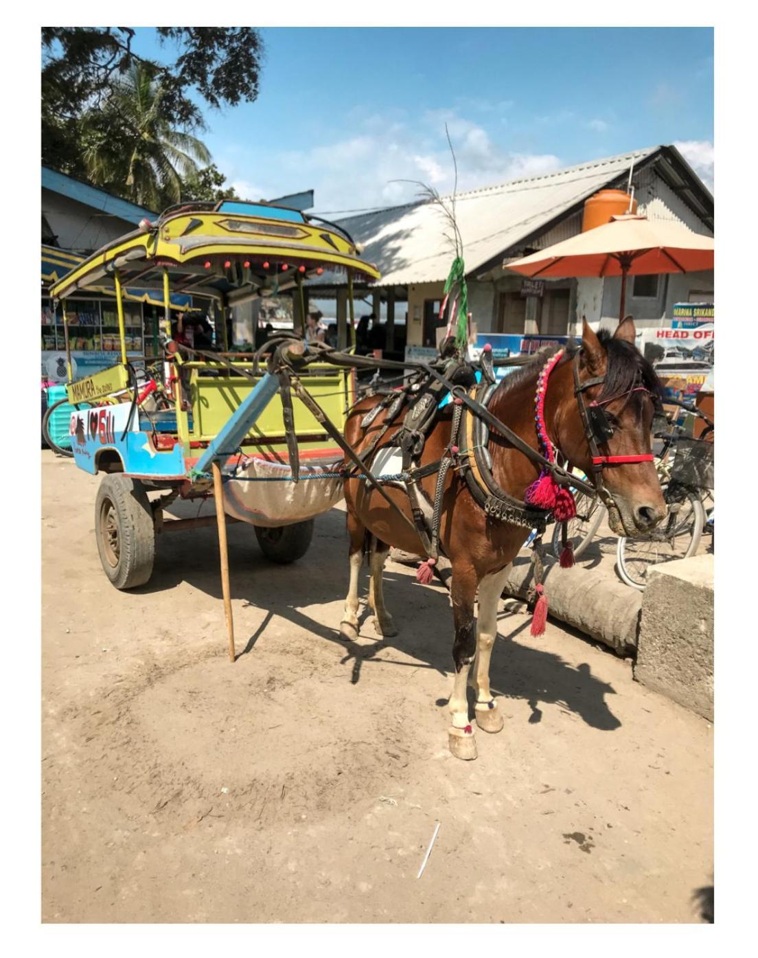 Villa Kayu Gili Air Buitenkant foto